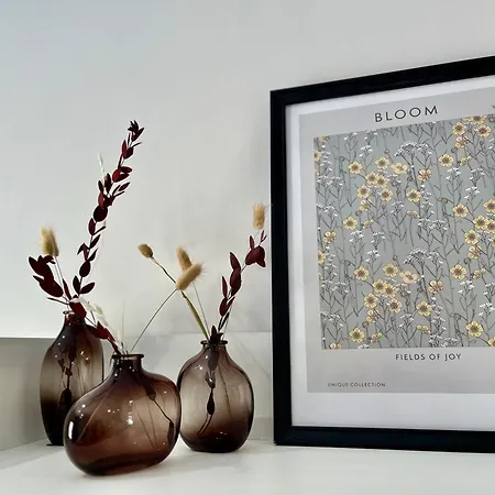 Centrico, Acogedor Y Luminoso * Oviedo